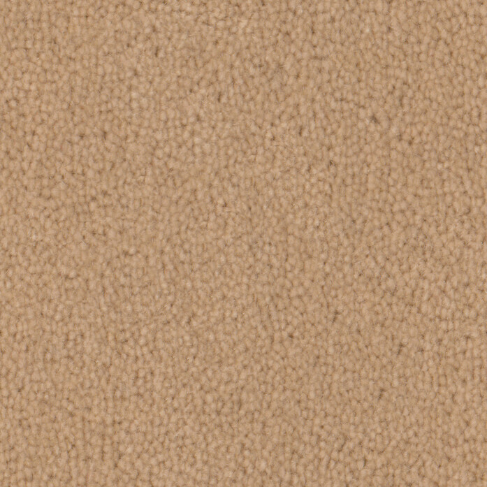Pure Wool Sand 2605 Jpg 94745 25923