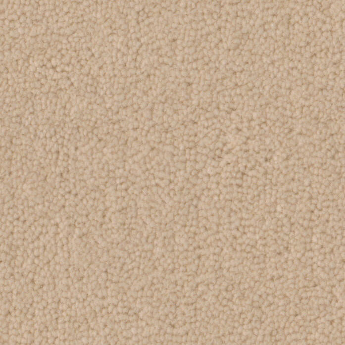 Pure Wool Windflower 2603 Jpg 94727 25921