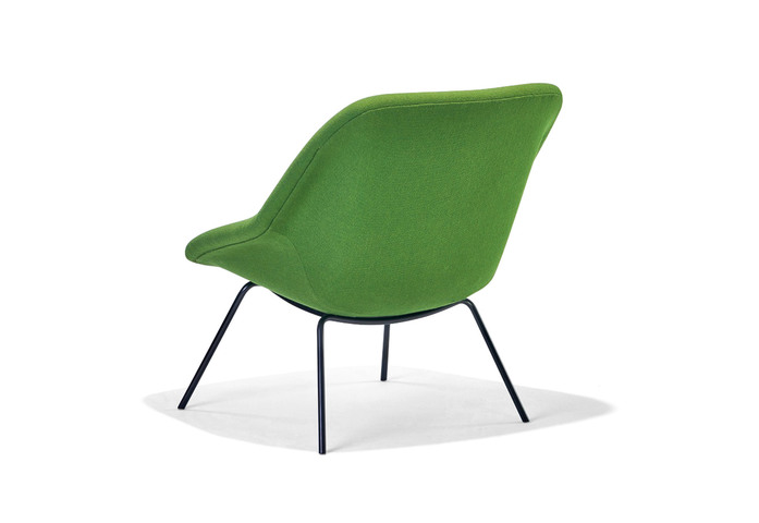 Rl H55 Hallingdal Gruen Schraeg Hinten