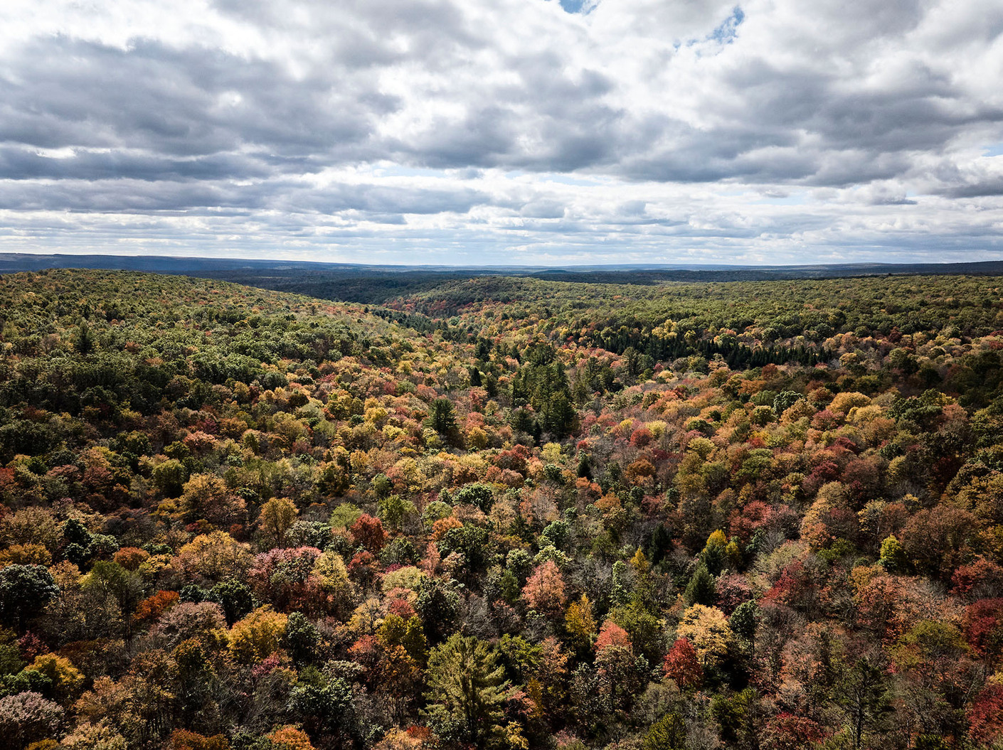 Image gallery A Matter of the Right Wood – AHEC Forestry