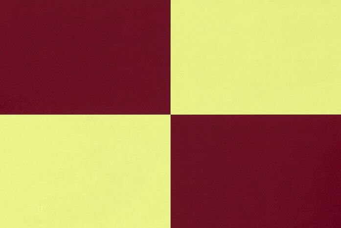 20260308 114627 31058 check placemat set of 2 butter burgundy 03