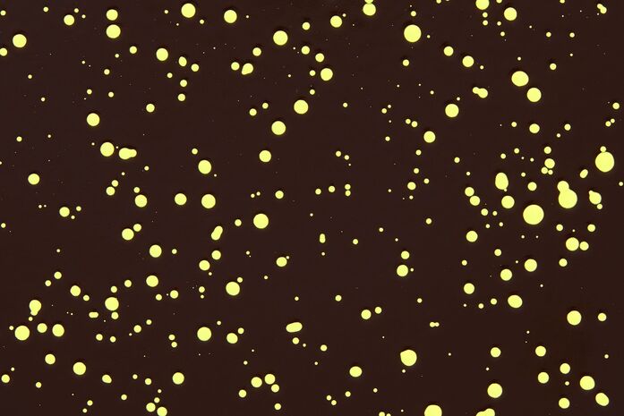20260308 120115 31061 last stool brown pale lime splatter 04