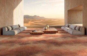 Grounded by Desert