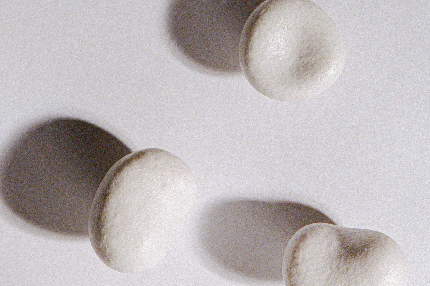 Atelier Collection Porcelain handles