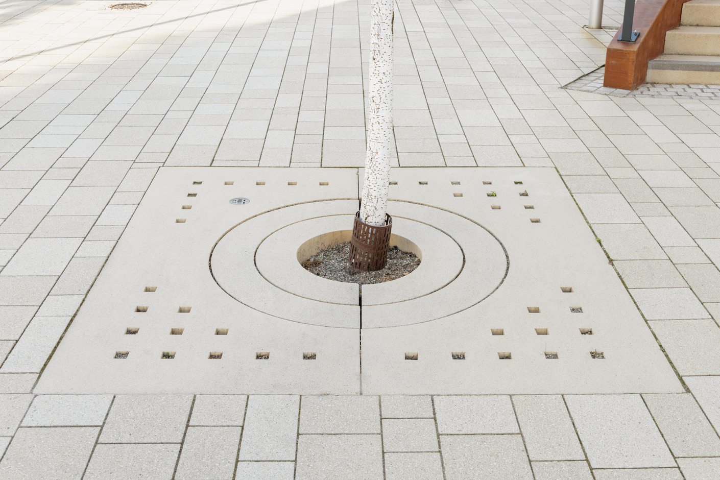 GDM.MASSIMO tree