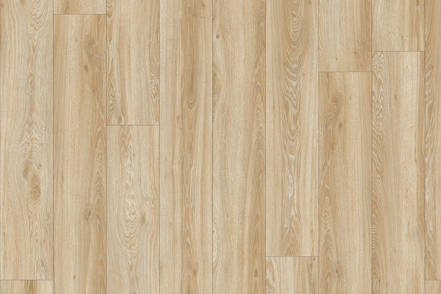 Blackjack Oak 22220