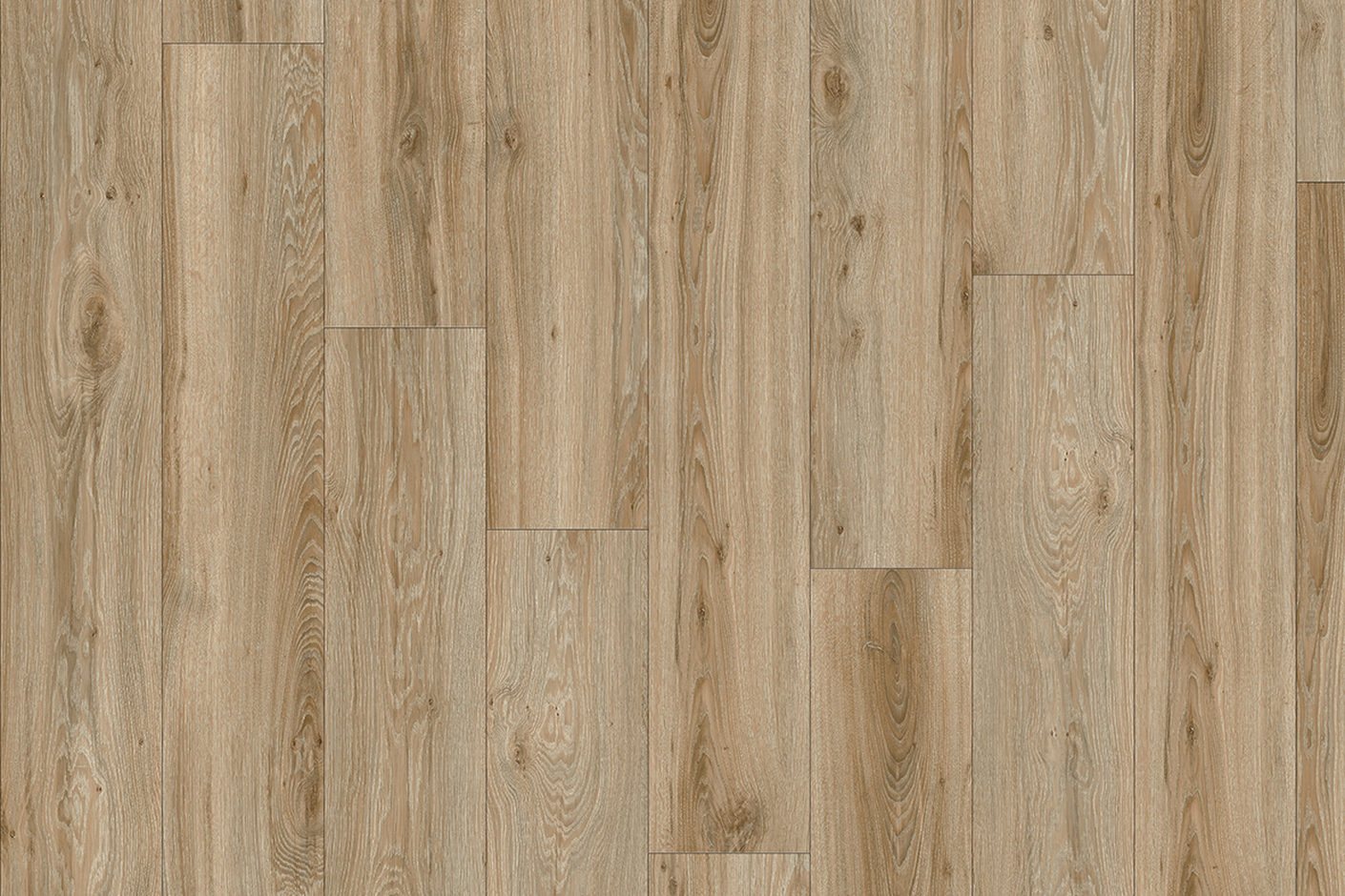 Blackjack Oak 22229