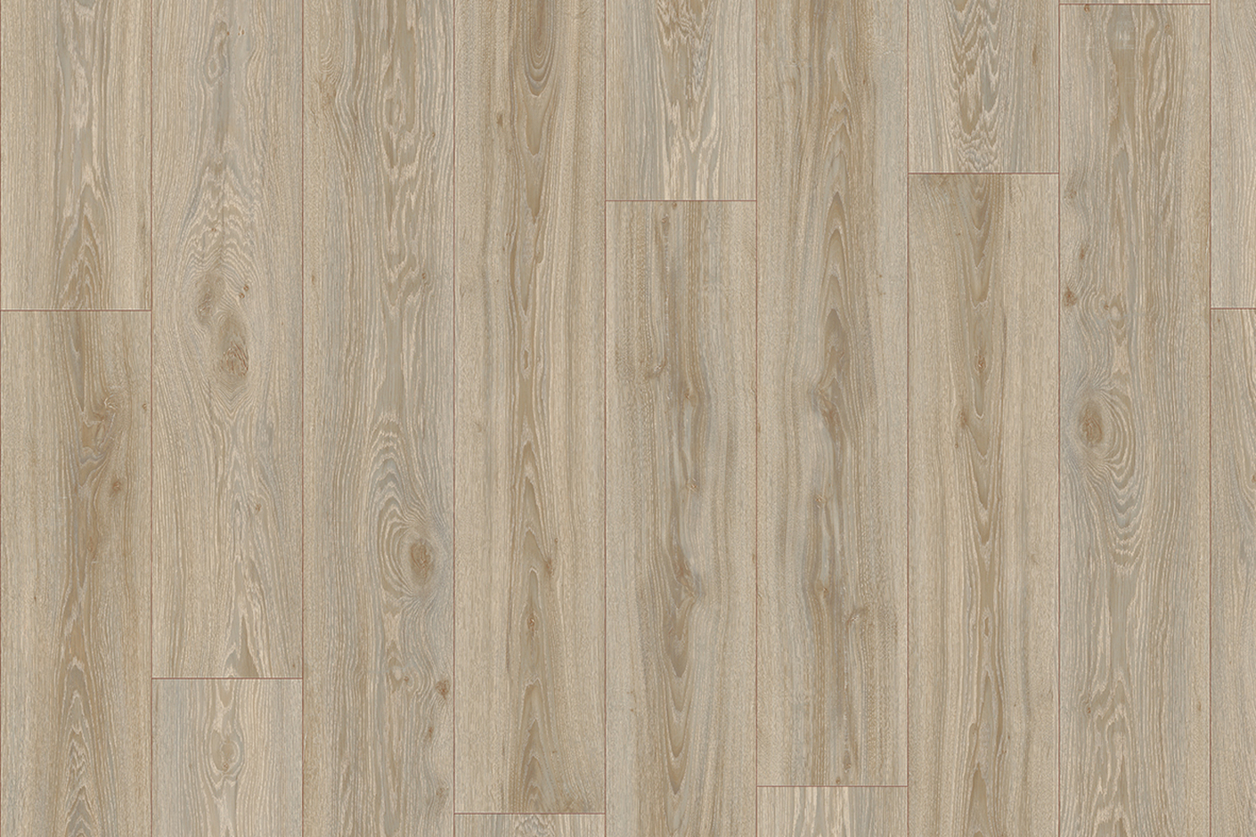 Blackjack Oak 22246