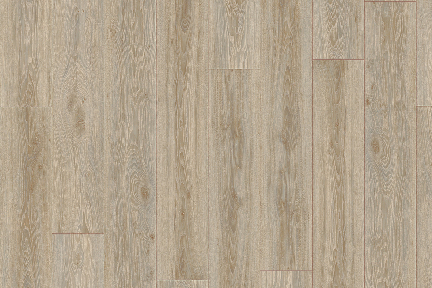Blackjack Oak 22246