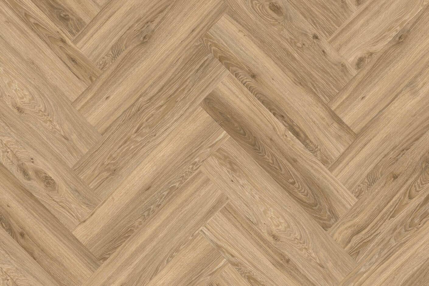 Blackjack Oak 22229