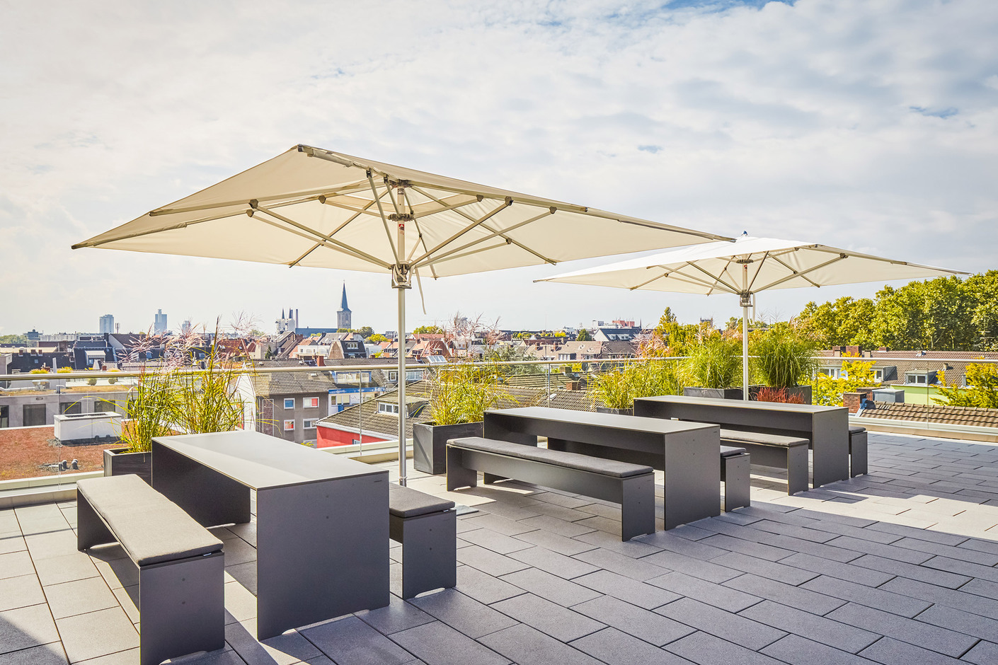 Essential Parasols