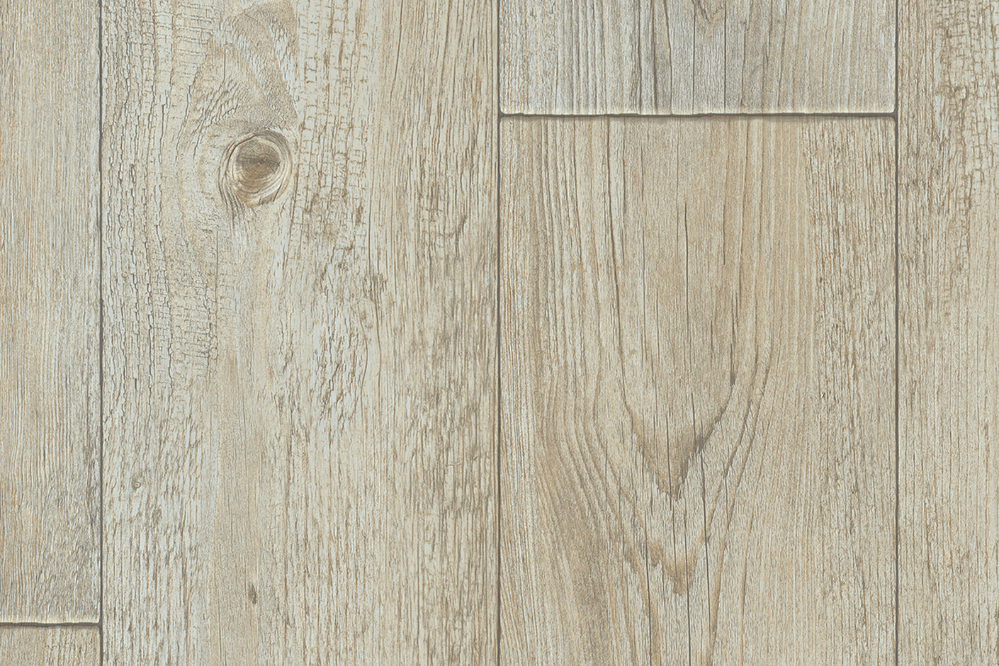 Foxtail Pine W92