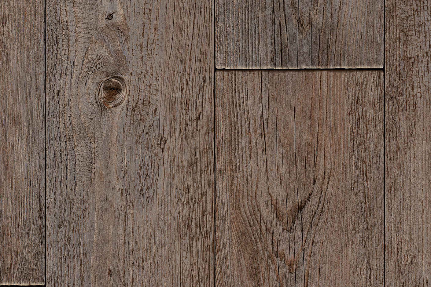 Foxtail Pine W96
