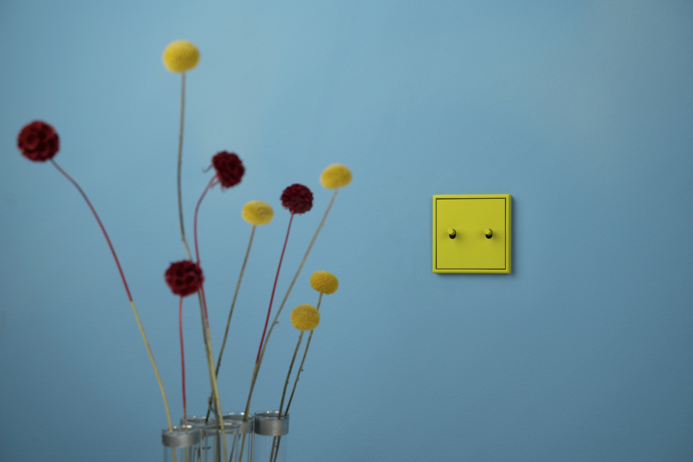 LS 1912 Les Couleurs® Le Corbusier® | Switch range