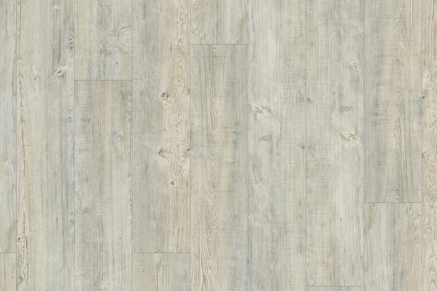 Latin Pine 24242