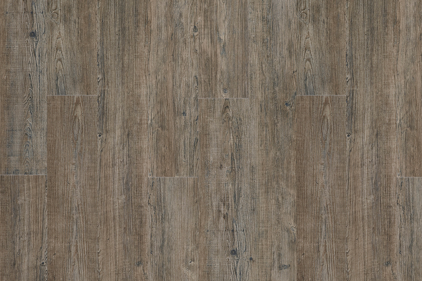 Latin Pine 24868