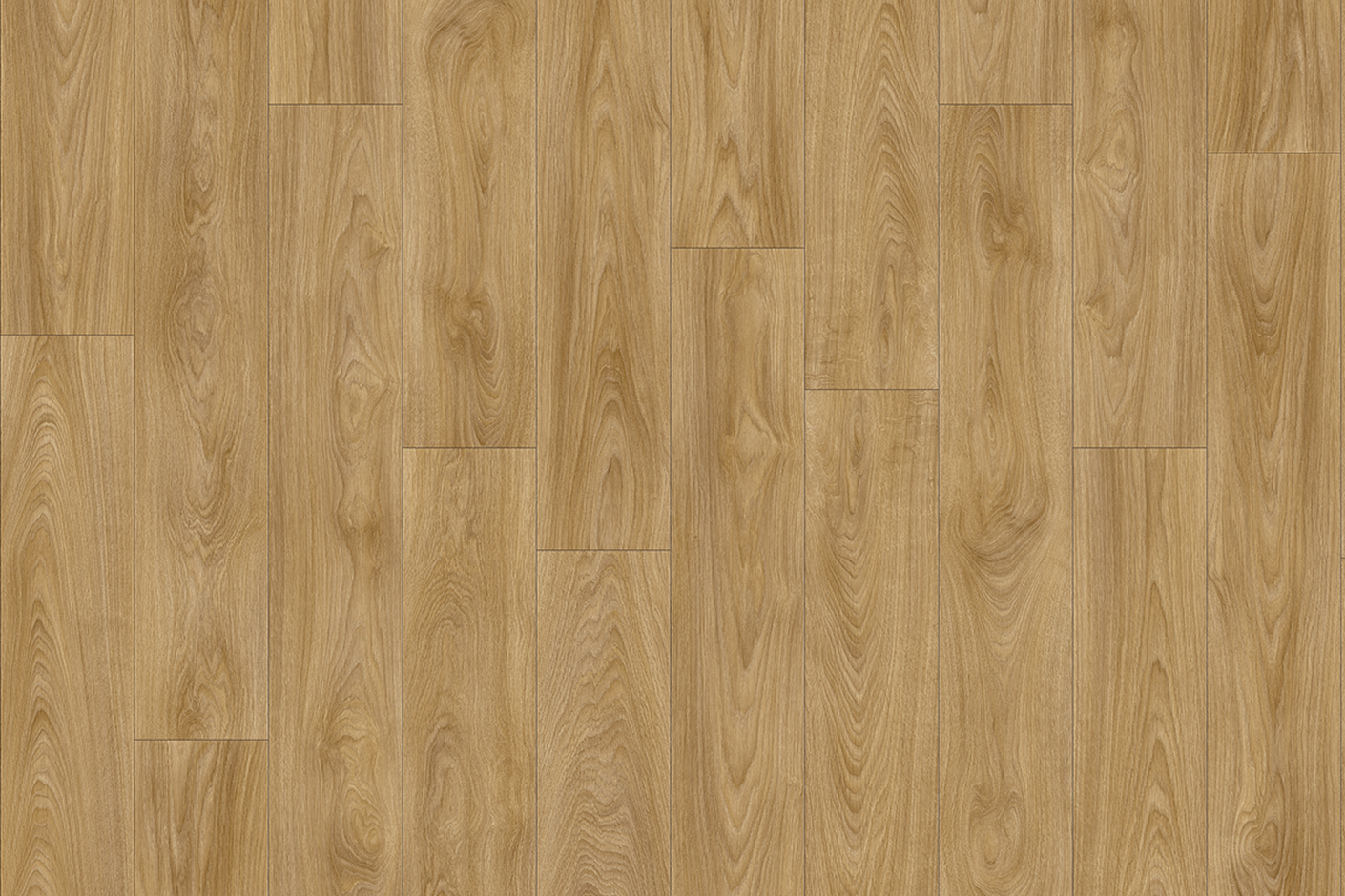 Laurel Oak 51262