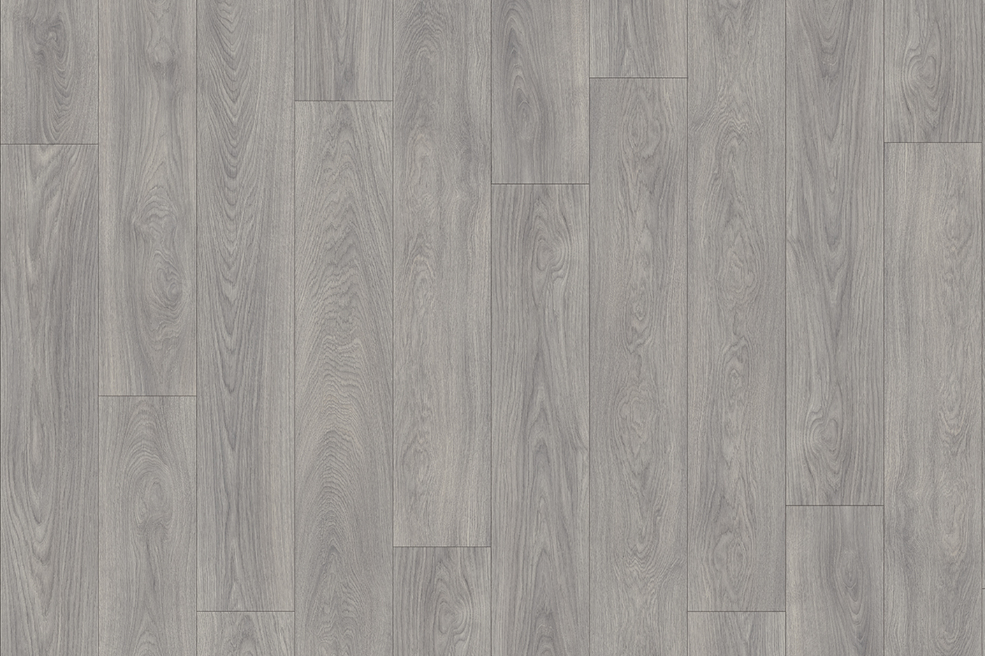 Laurel Oak 51942