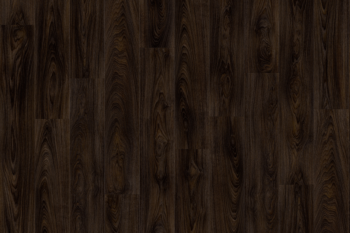 LAUREL OAK 51992