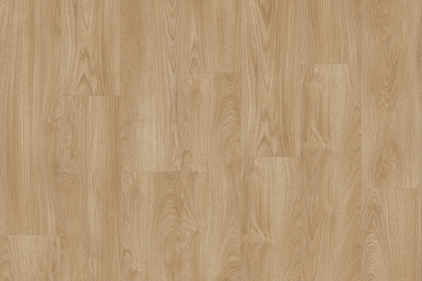 Laurel Oak 51824