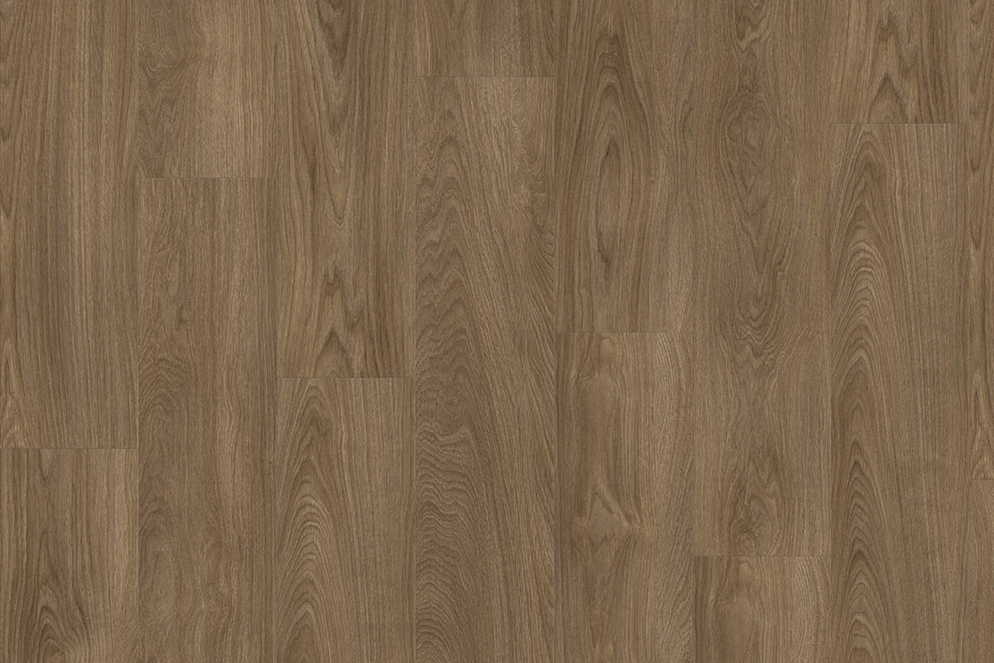 Laurel Oak 51864