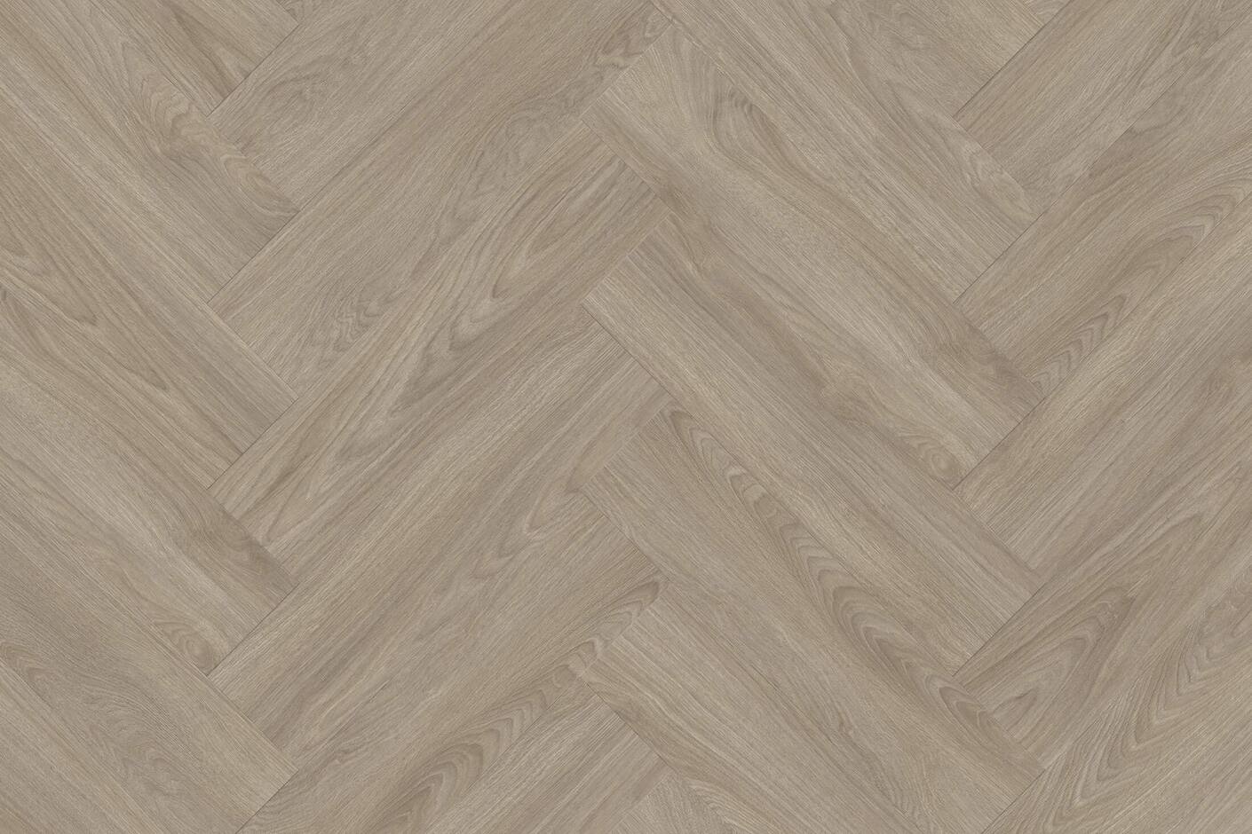 Laurel Oak 51937