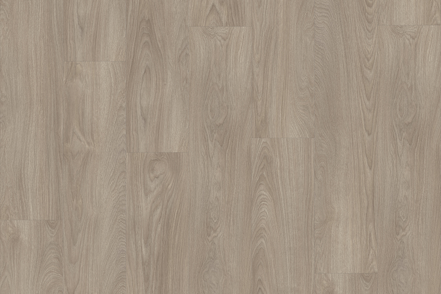Laurel Oak 51937
