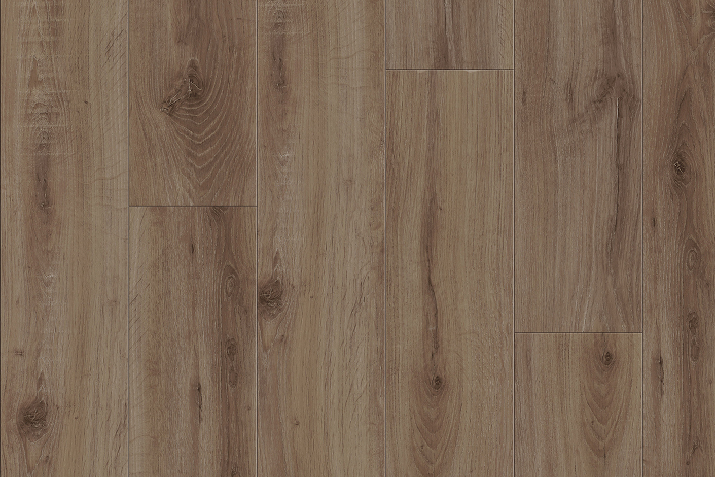 European Oak 2870