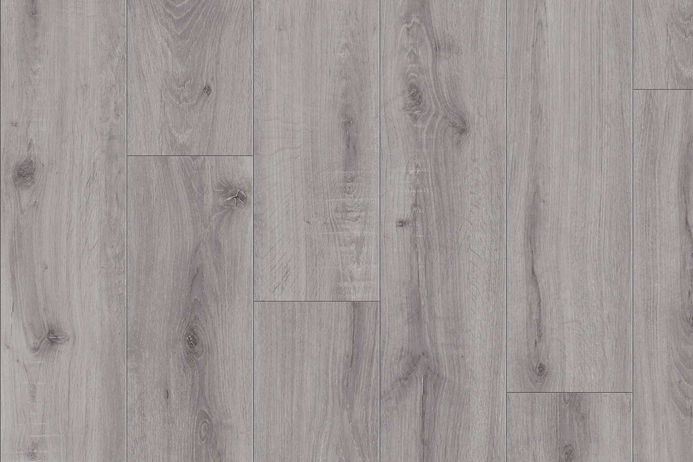 European Oak 2951