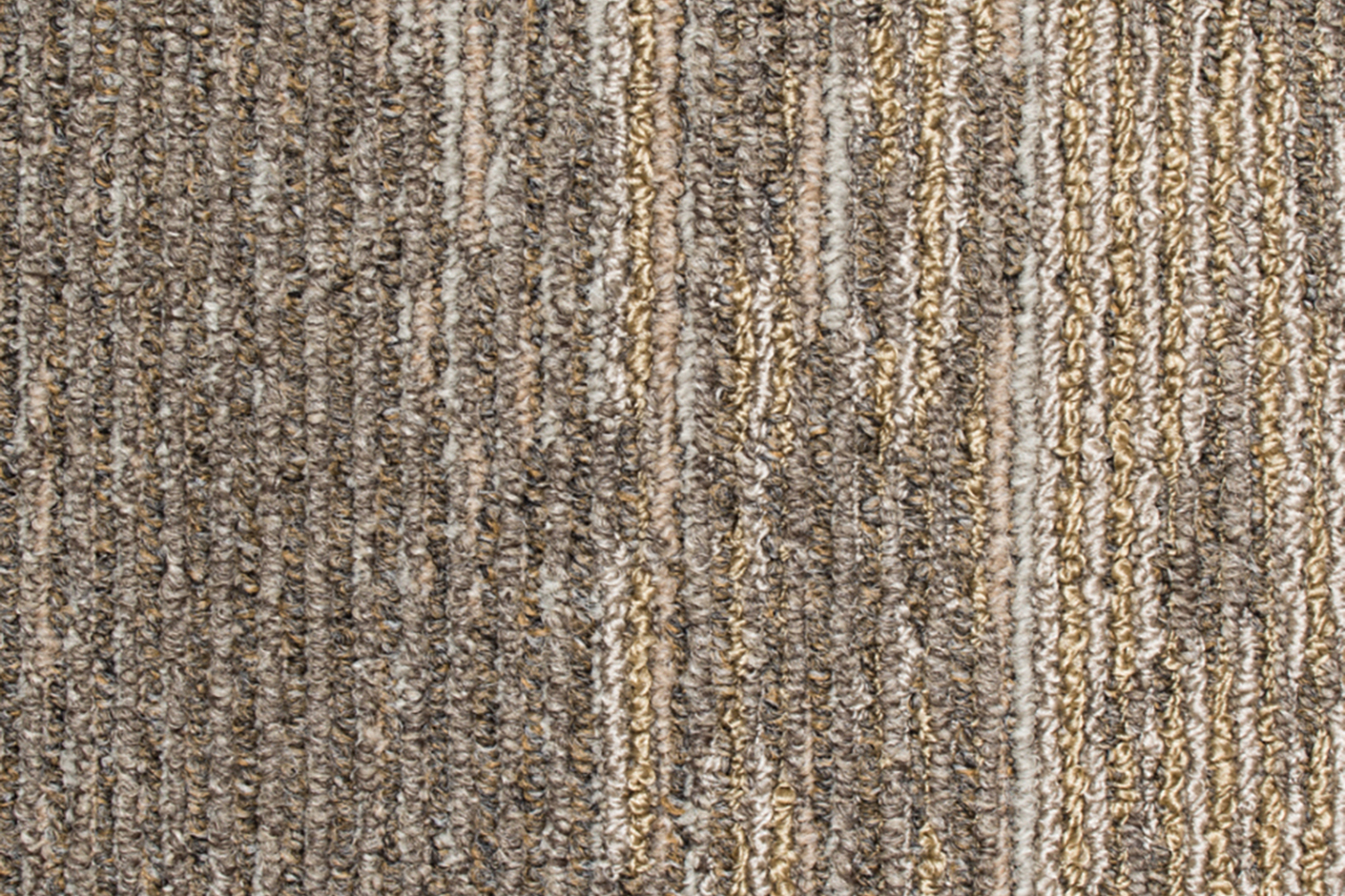 Metallic Path 859