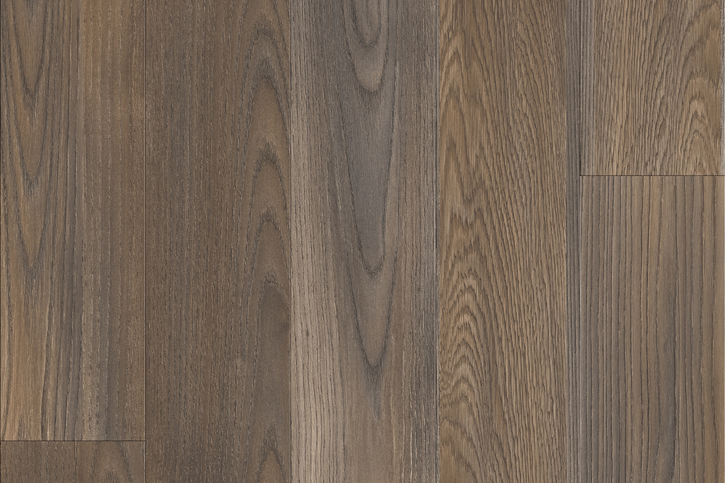 Mexican Ash 20875