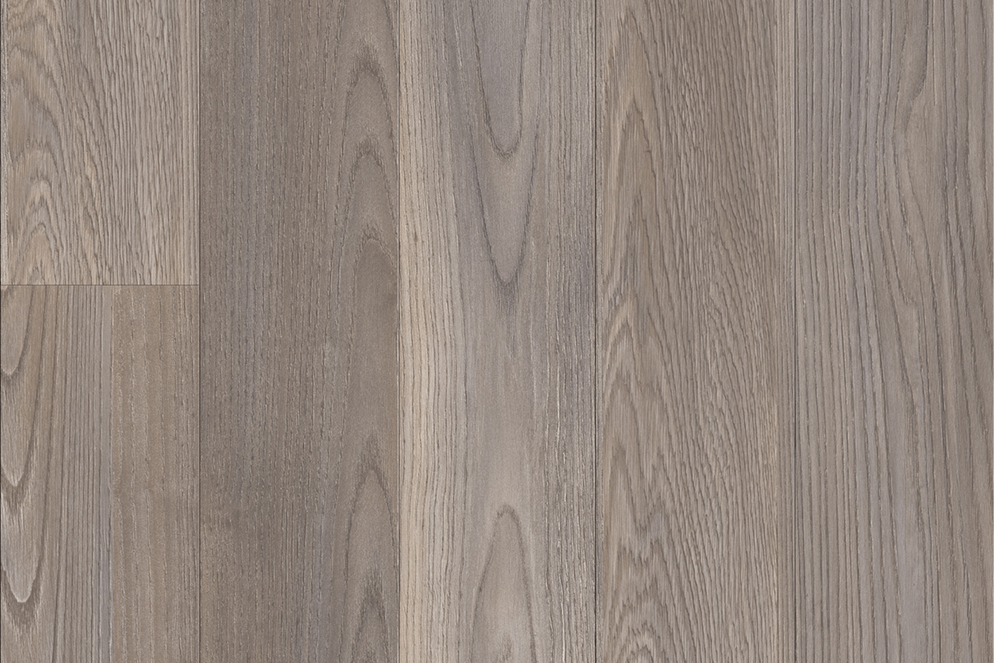 Mexican Ash 20965