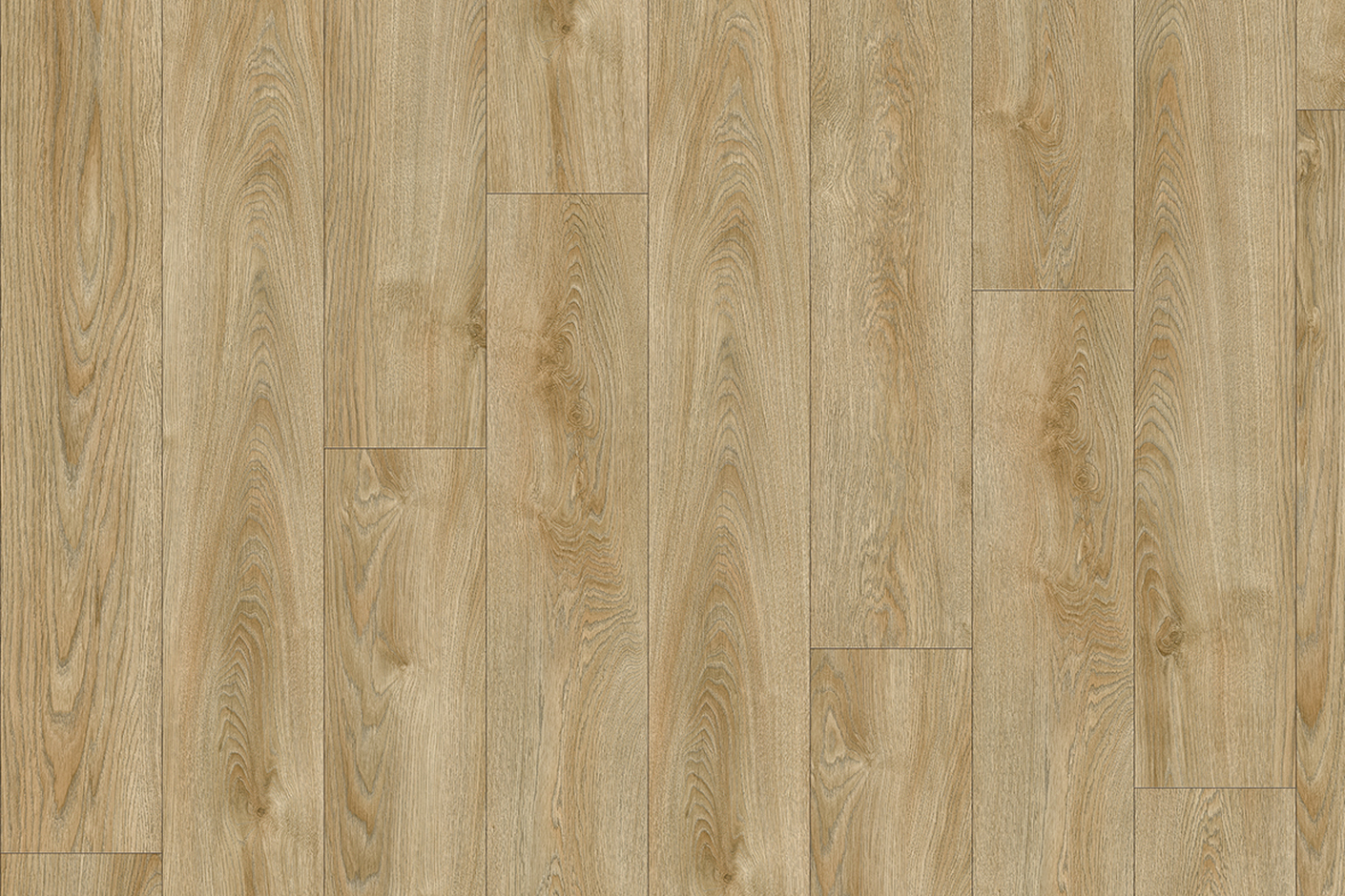 Midland Oak 22240