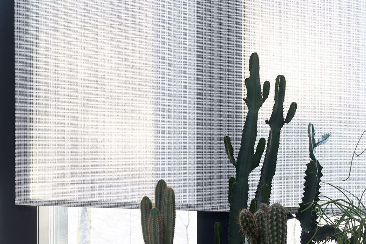 Blinds & Partitions