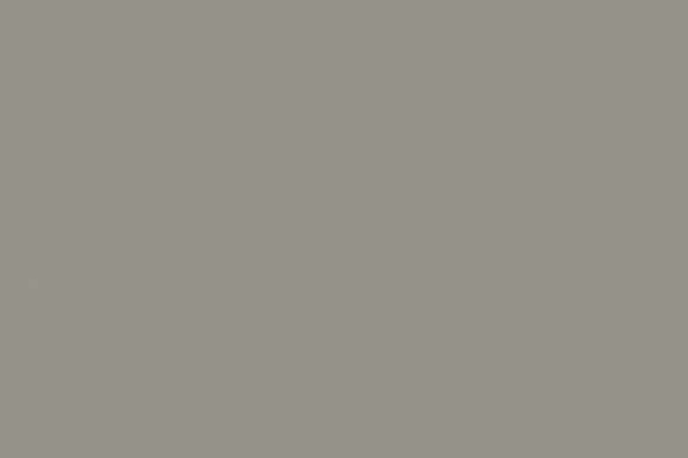 Steel Grey S109