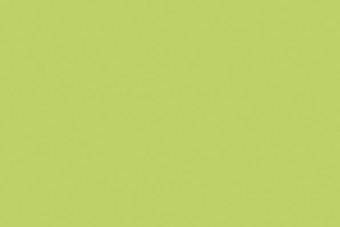 Light Green S213