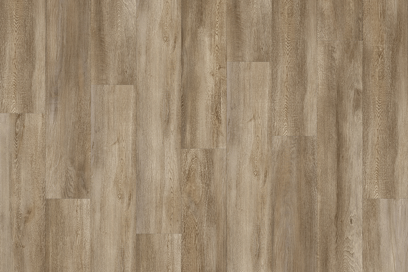 SANTA CRUZ OAK 59253