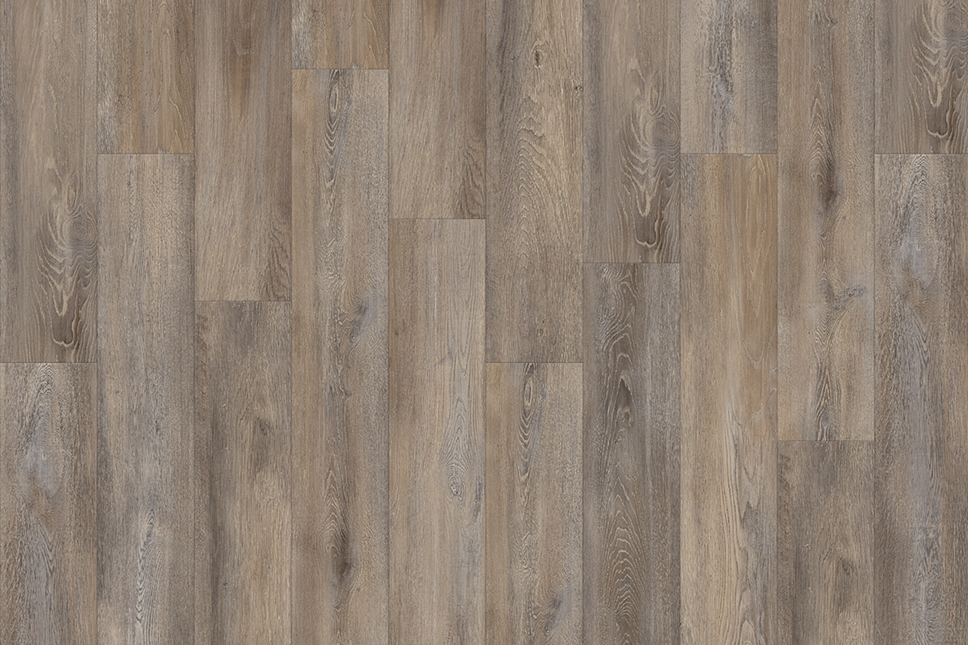 Santa Cruz Oak 59823
