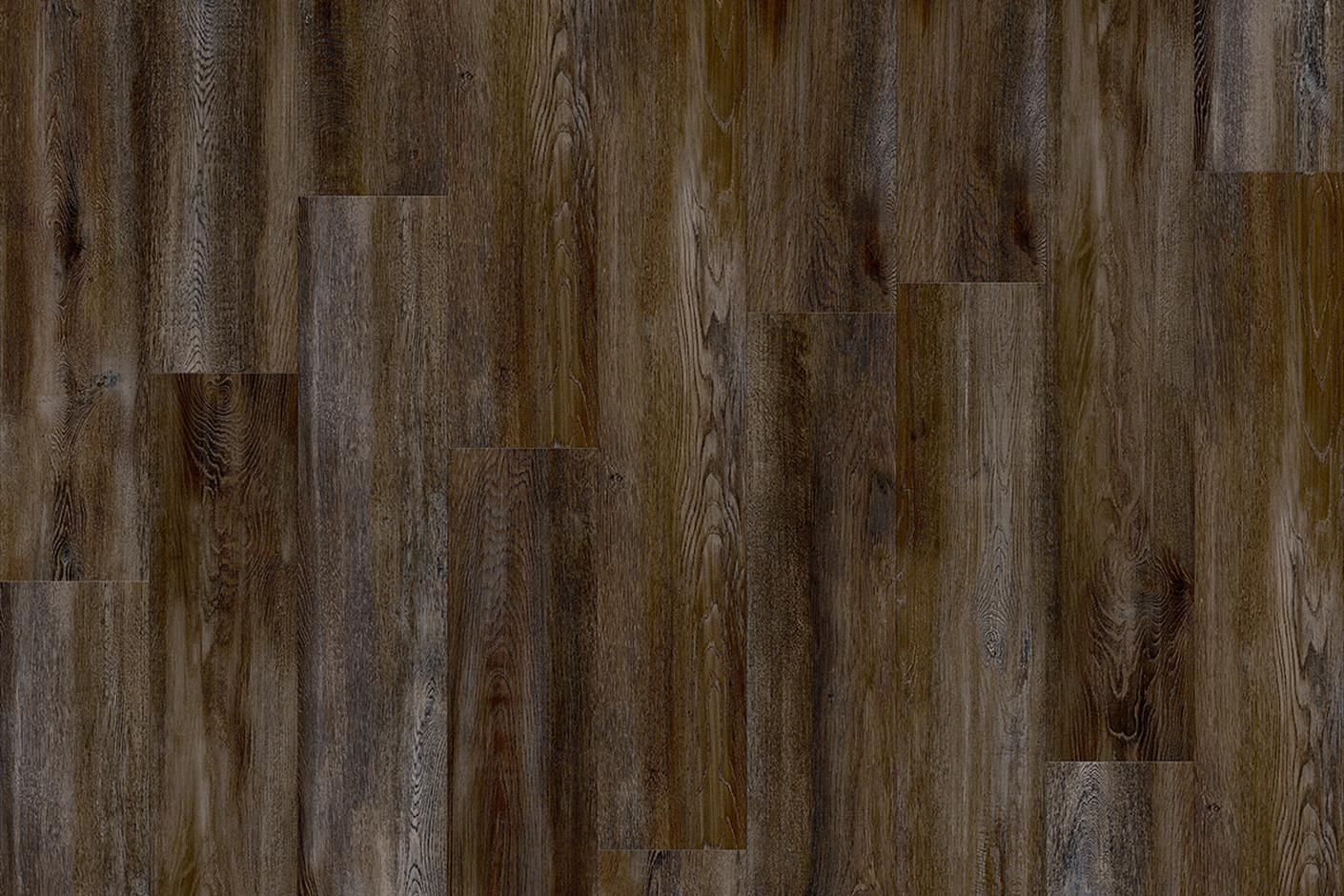 Santa Cruz Oak 59963