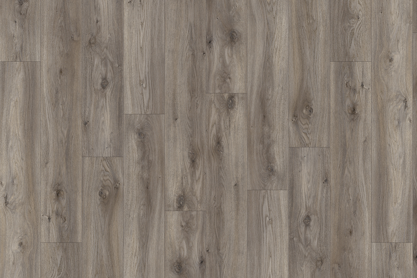 SIERRA OAK 58956