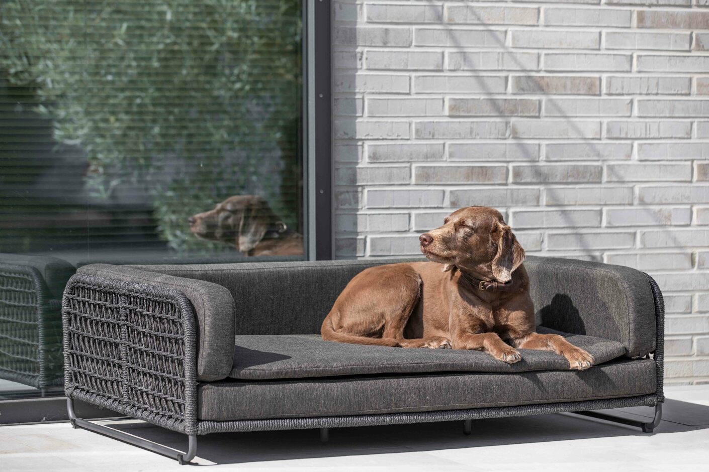 TORRI Hundesofa