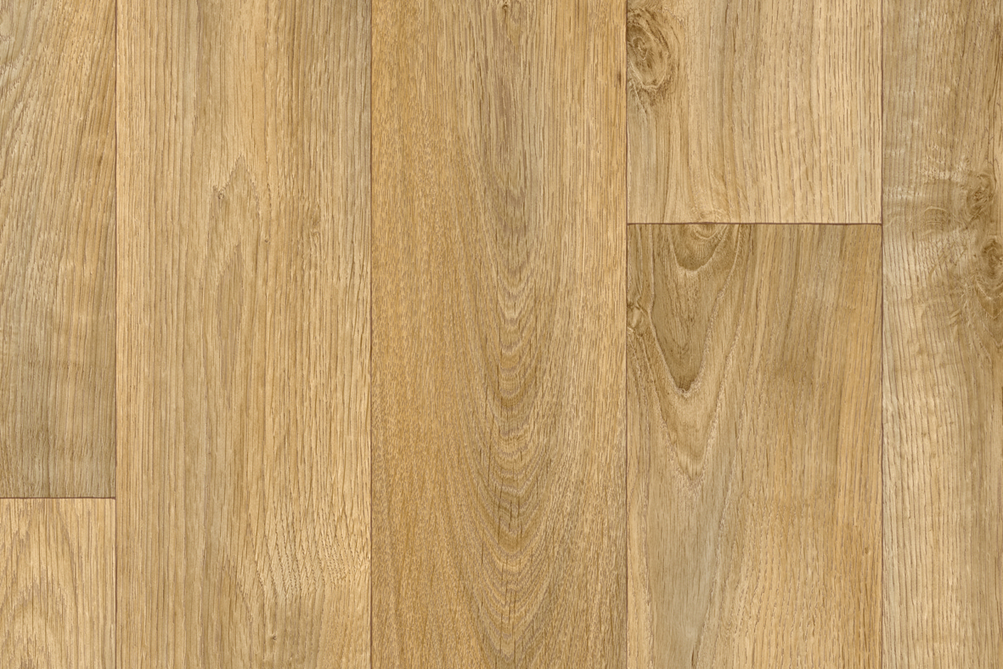 Tavel T50