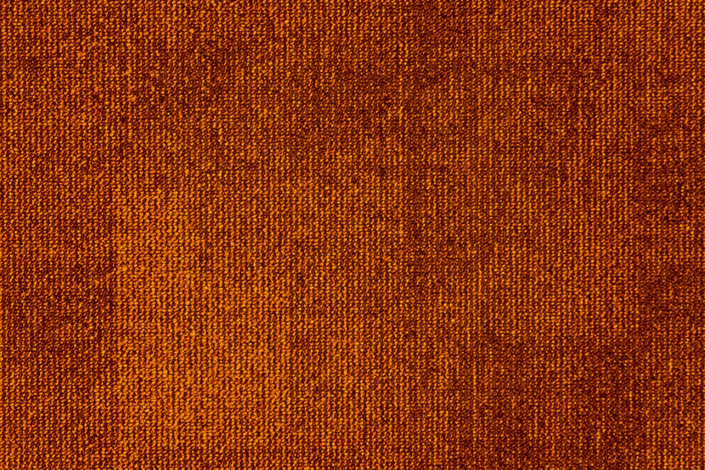 Teak 273