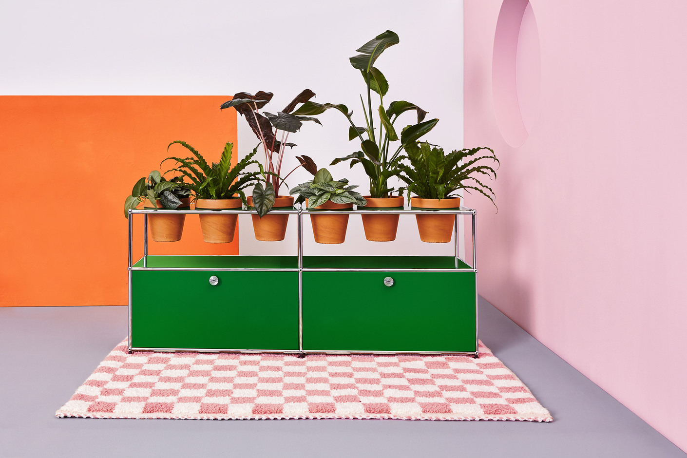 World of Plants for USM Haller