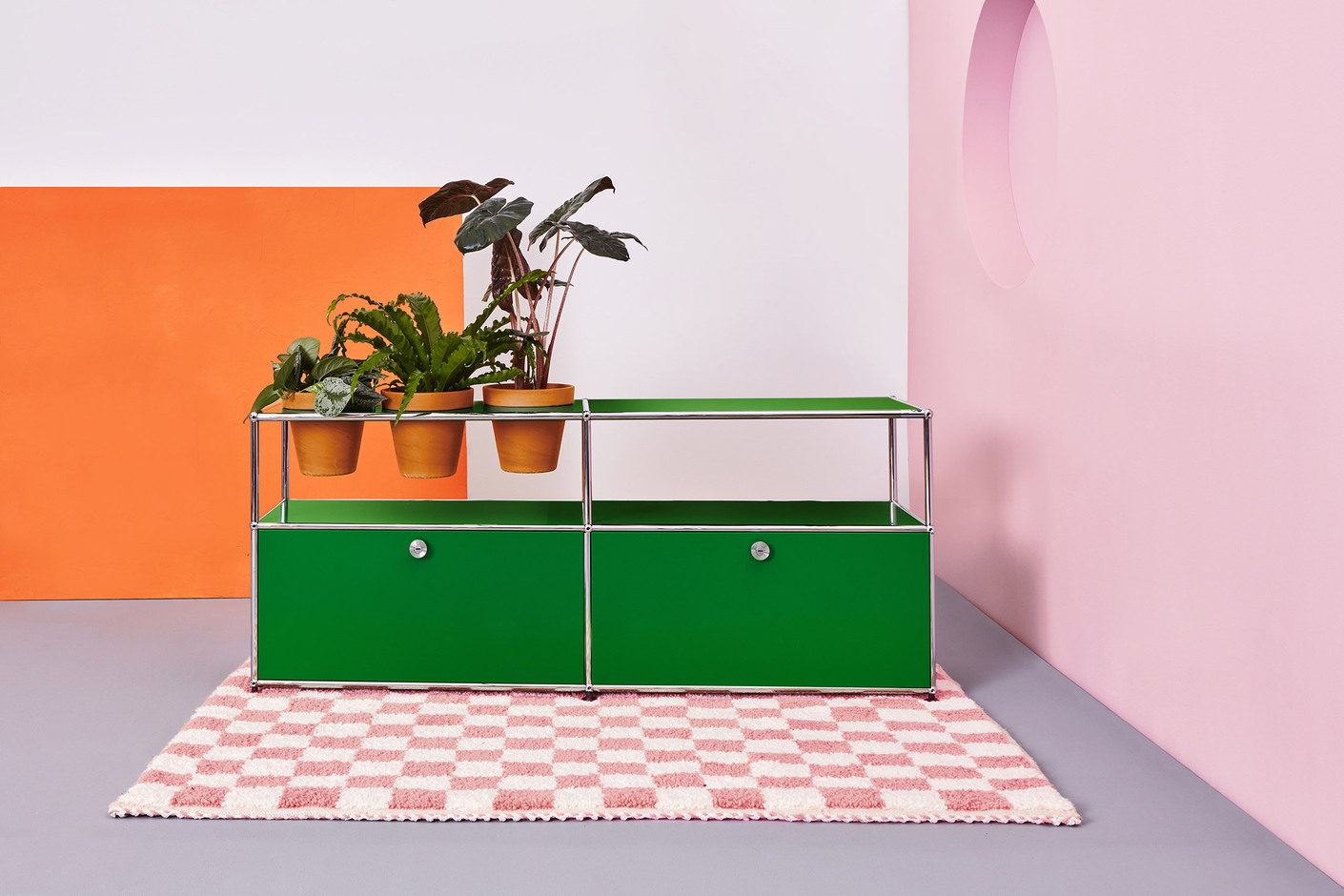 World of Plants for USM Haller