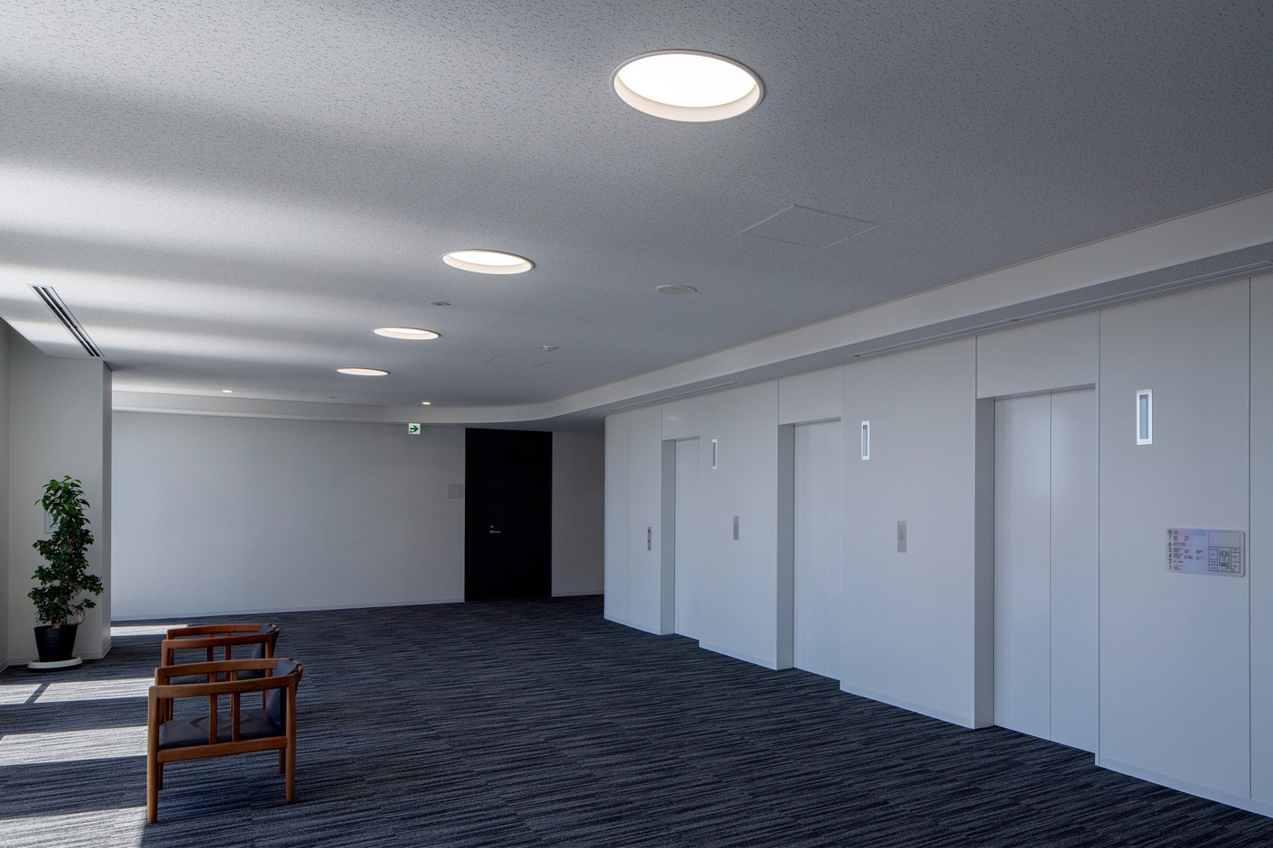 LP Circle Einbau