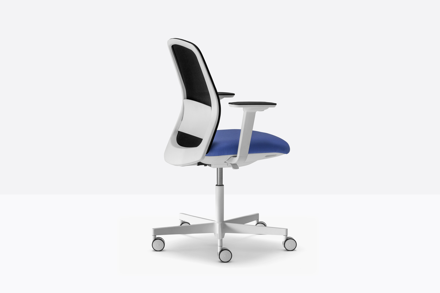 POLAR 3775-3776