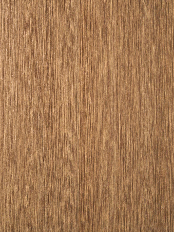 SABLE LR22