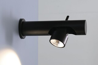 1433 calabrone  von  Martinelli Luce