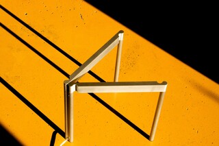 836 diatomea  by  Martinelli Luce